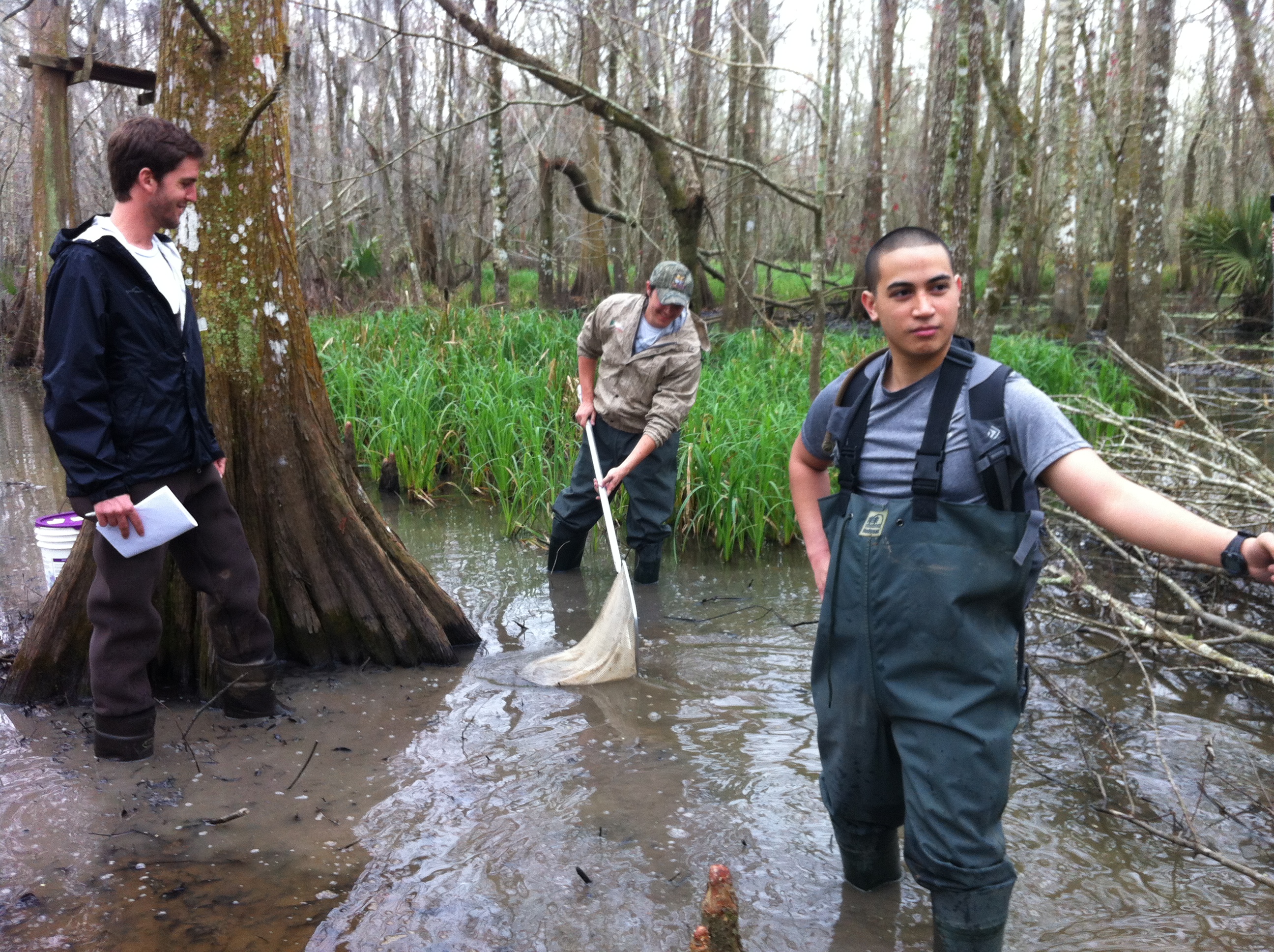 Improving Science and Management of Louisiana’s Forested Wetlands